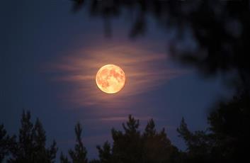 خرافة أم حقيقة؟.. العلم يفكك لغز تأثير القمر على النوم والسلوك