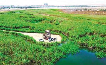 البيئة: افتتاح محمية الجهراء الطبيعية للزوار.. من الأحد 9 نوفمبر