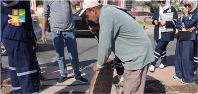 هيئة البيئة: استكمال الكشف على الشبكات الفرعية المتصلة بشبكات الأمطار لرصد الوصلات غير القانونية