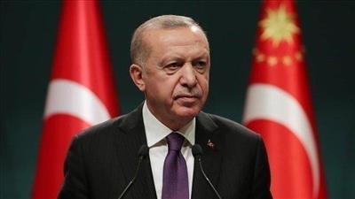 أردوغان مجلس السلام في غزة يجب أن يعالج التهديد الأمني للاحتلال