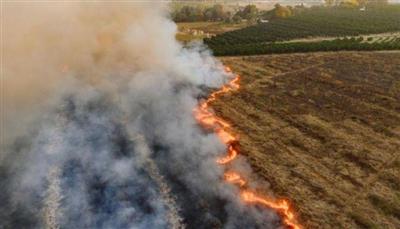 أبرز الظواهر الطبيعية 2025