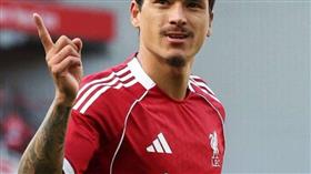 نونيز يحصل على إذن ليفربول لإجراء الكشف الطبي مع الهلال