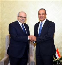 مصر تطالب بانسحاب الاحتلال الإسرائيلي من جنوب لبنان وتؤكد دعمها الثابت لبيروت
