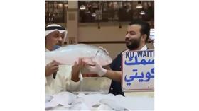 بين السبيطي والزبيدي.. موسم الصيد ينعش الأسواق البحرية