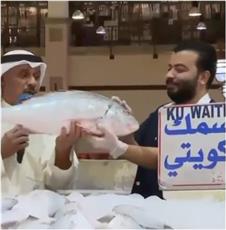 بين السبيطي والزبيدي.. موسم الصيد ينعش الأسواق البحرية