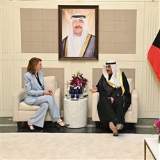 ممثل الأمير: فتح مجالات جديدة للتعاون مع الشركات العالمية