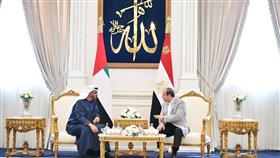 الرئيسان المصري والإماراتي يُرحبان بمبادرة ترامب لوقف الحرب في غزة