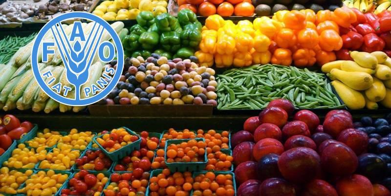 الفاو تراجع الأسعار العالمية للأغذية لأول مرة منذ شهرًا